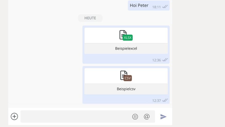 Ein Chat mit einer Excel und einer CSV Datei.